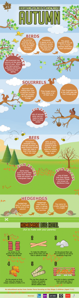 Infographic