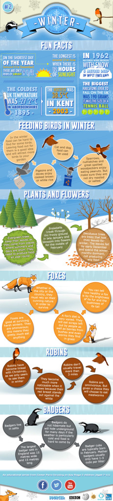 Everything You Need To Know About Winter