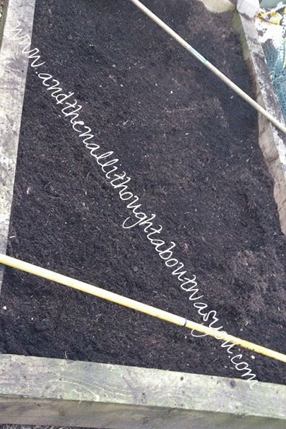 BabasGardening7_zps0a78b195