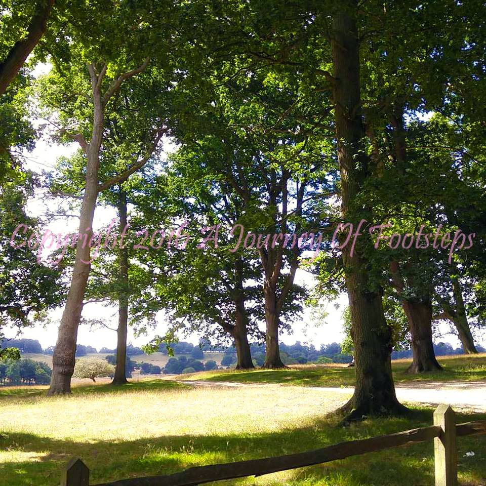 National Trust, RSPB, children, nature, learning, growing, memories, animals 